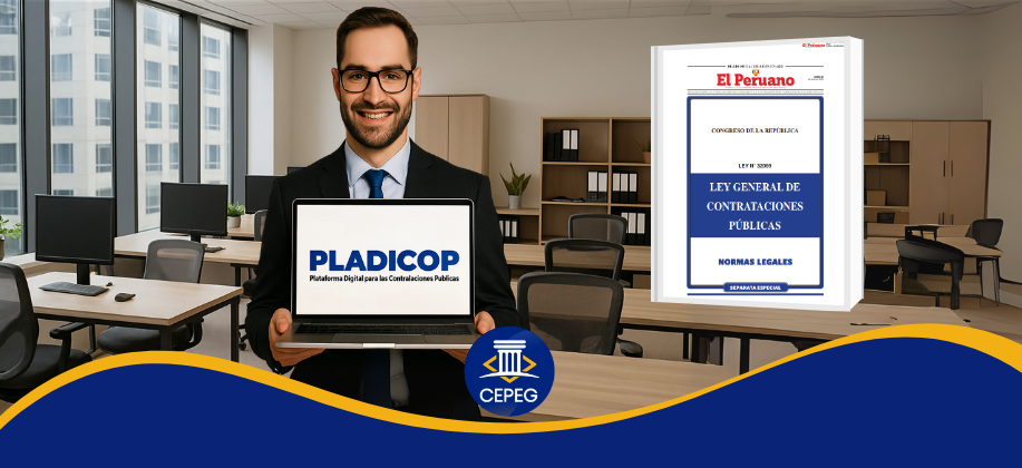 PLADICOP y el principio de valor por dinero: la gran conexión